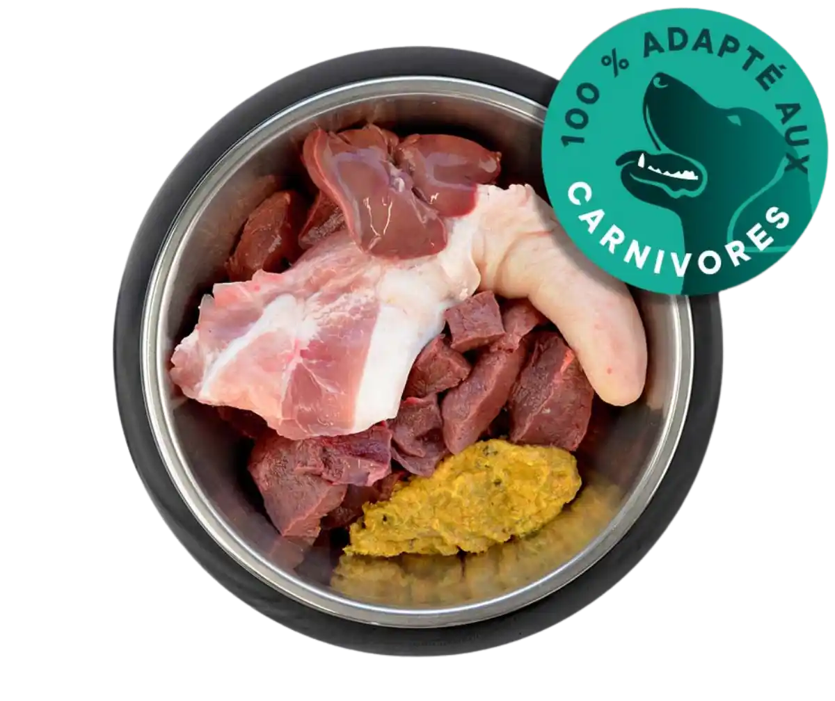 Haché pour chien qru Gamelle pour chien contenant un repas barf en morceaux