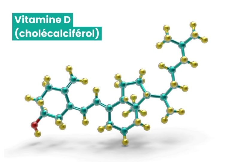 Molécule de vitamine D, un nutriment essentiel de la nourriture pour chien épileptique