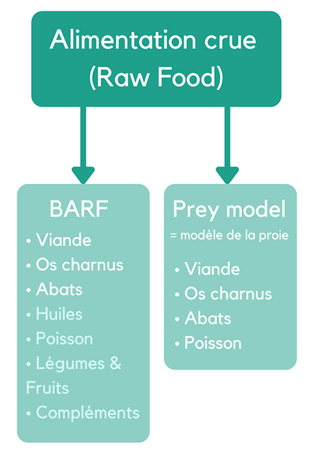 Parmi l'alimentation crue (ou raw food) on distingue le BARF et le Prey model