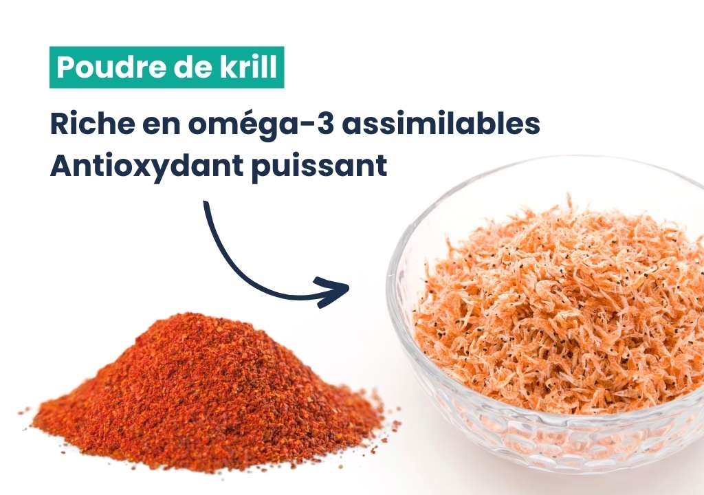 La poudre de krill est un complément alimentaire naturel puissant.
