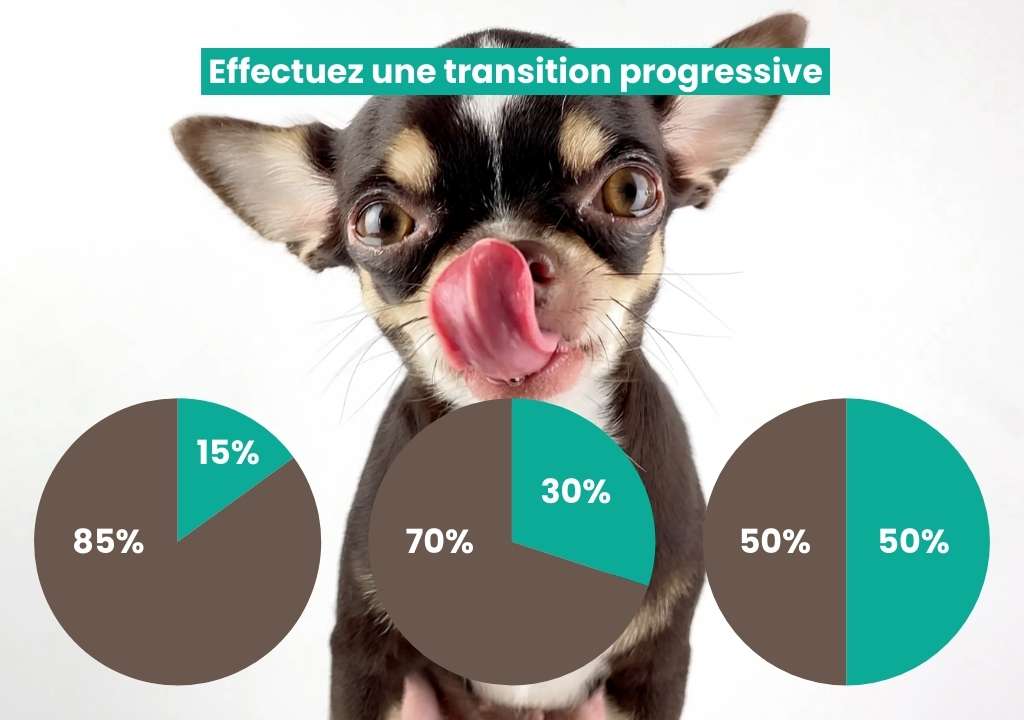 Transition progressive vers la bi-nutrition du chien