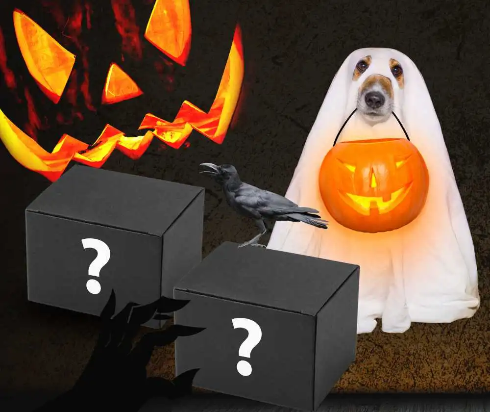 Colis mystère Halloween qru : frissonnez de plaisir