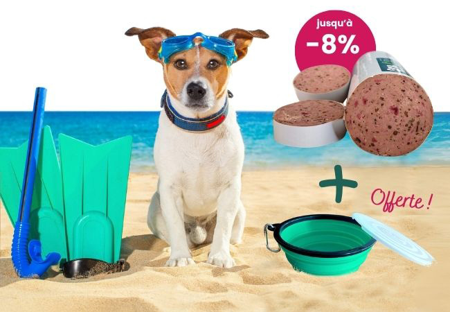 Pack été qru : jusqu'à -8% de réduction et une gamelle de voyage offerte