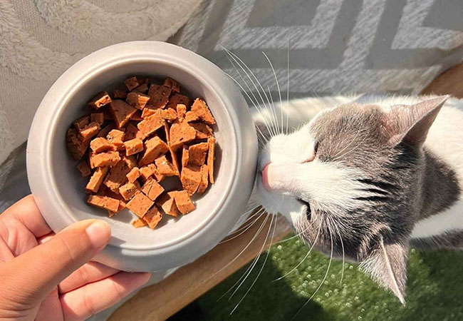 Les saucissons pour chats de la gamelle qru