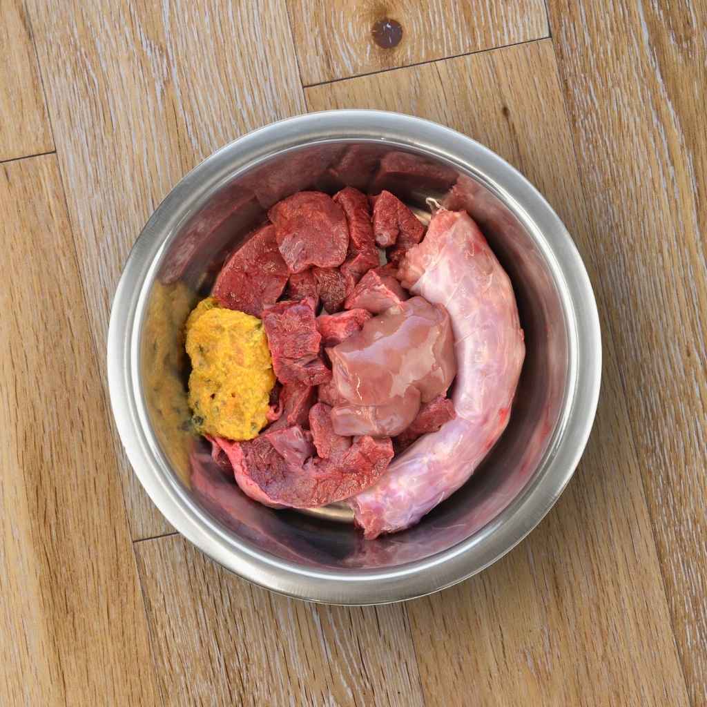 Gamelle de repas cru pour chien qui se gratte