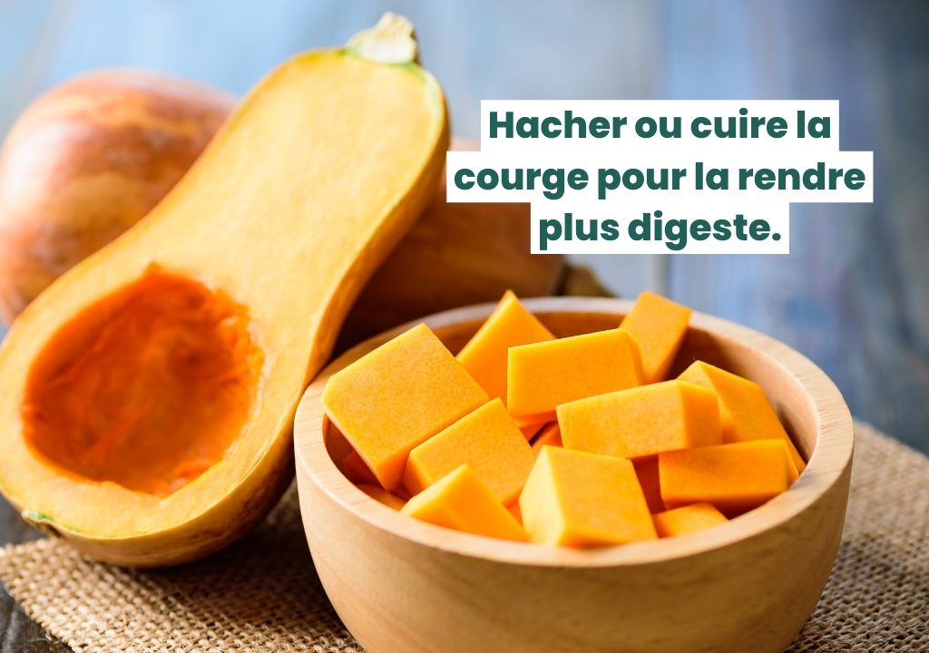 Courge et recommandation écrite de hacher ou cuire le légume