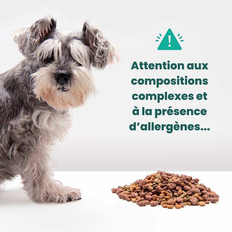 Chien devant un bol de croquettes avec une mention d'alerte concernant les allergènes