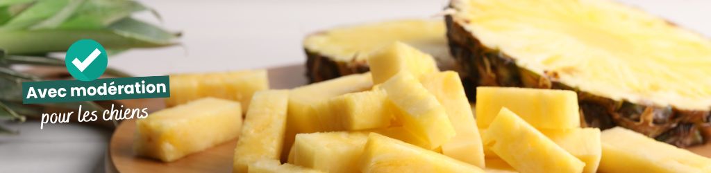 ananas avec la mention avec modération pour les chiens