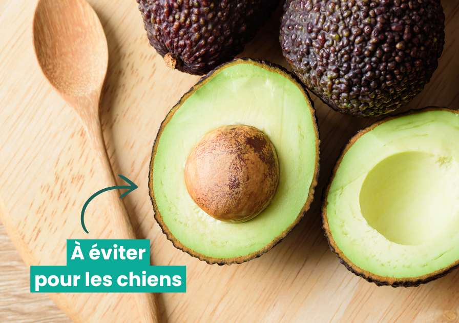 Avocats sur une table avec une mention d'alerte sur la toxicité pontentielle
