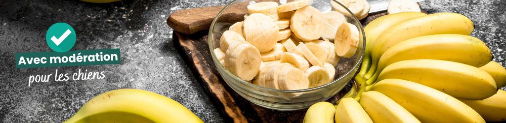 bananes avec la mention avec modération pour les chiens
