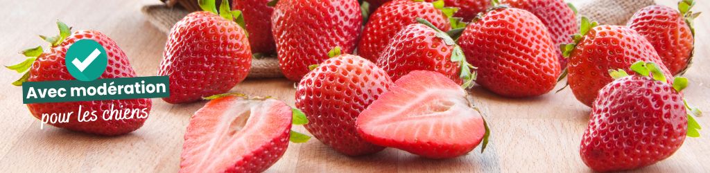 fraises avec la mention avec modération pour les chiens
