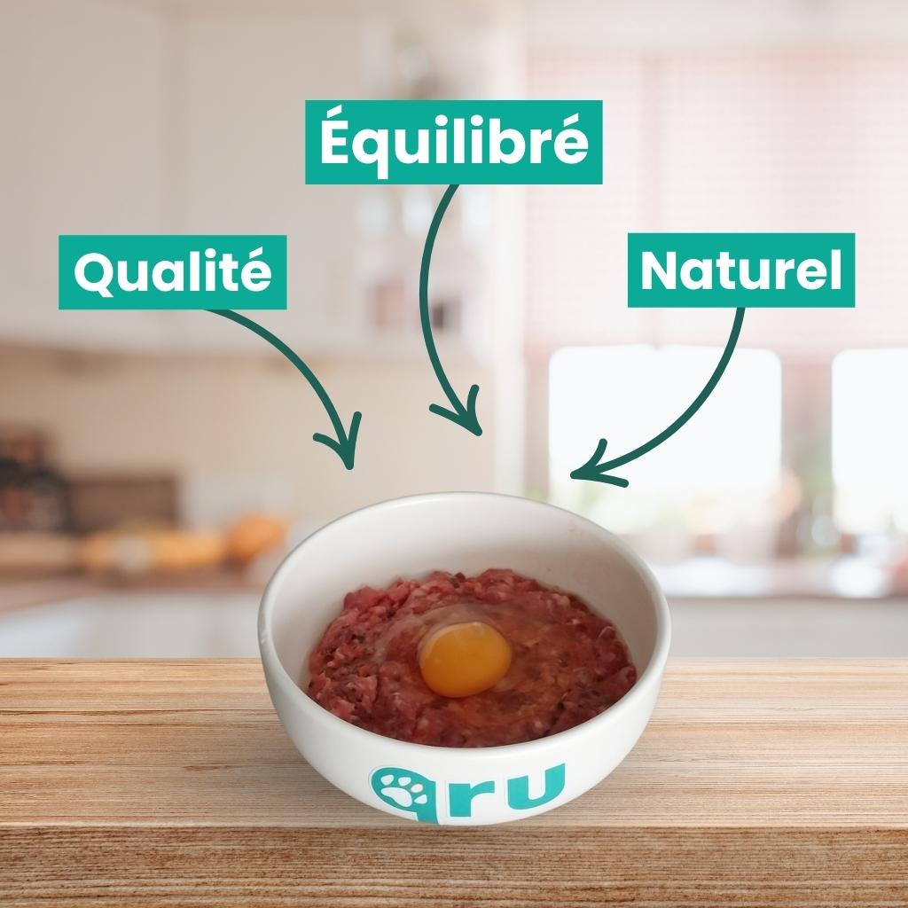 Un oeuf pour chat dans une gamelle qru