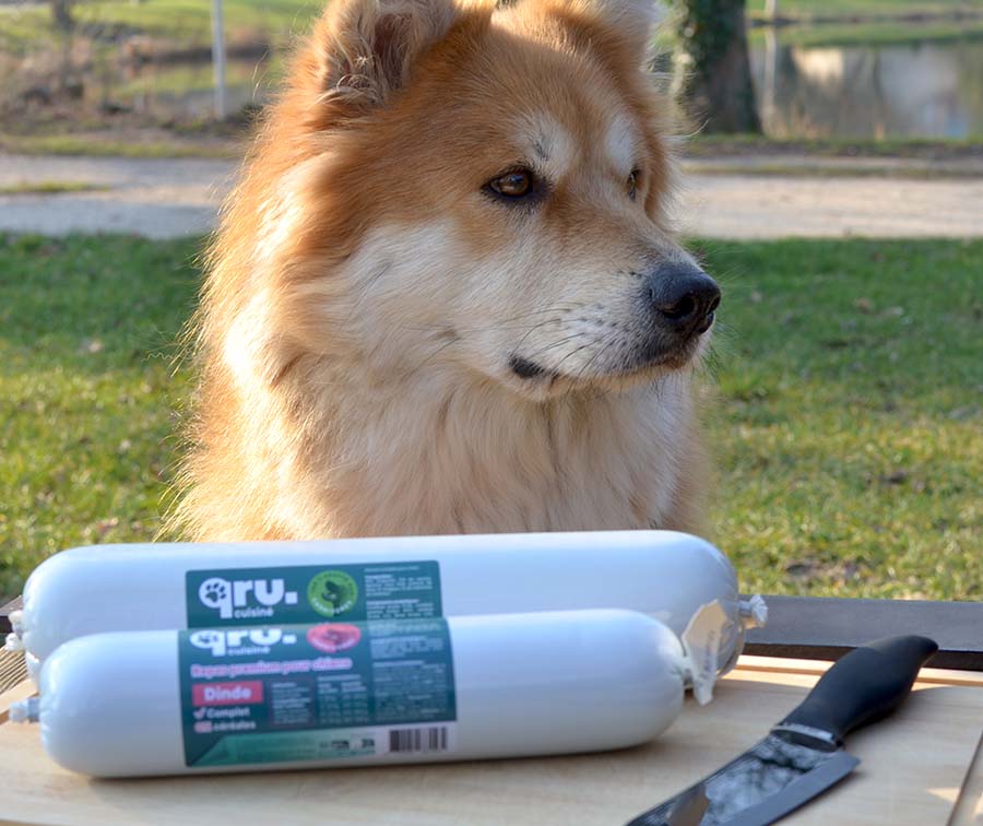 Saucisson qru sur une table devant un chien