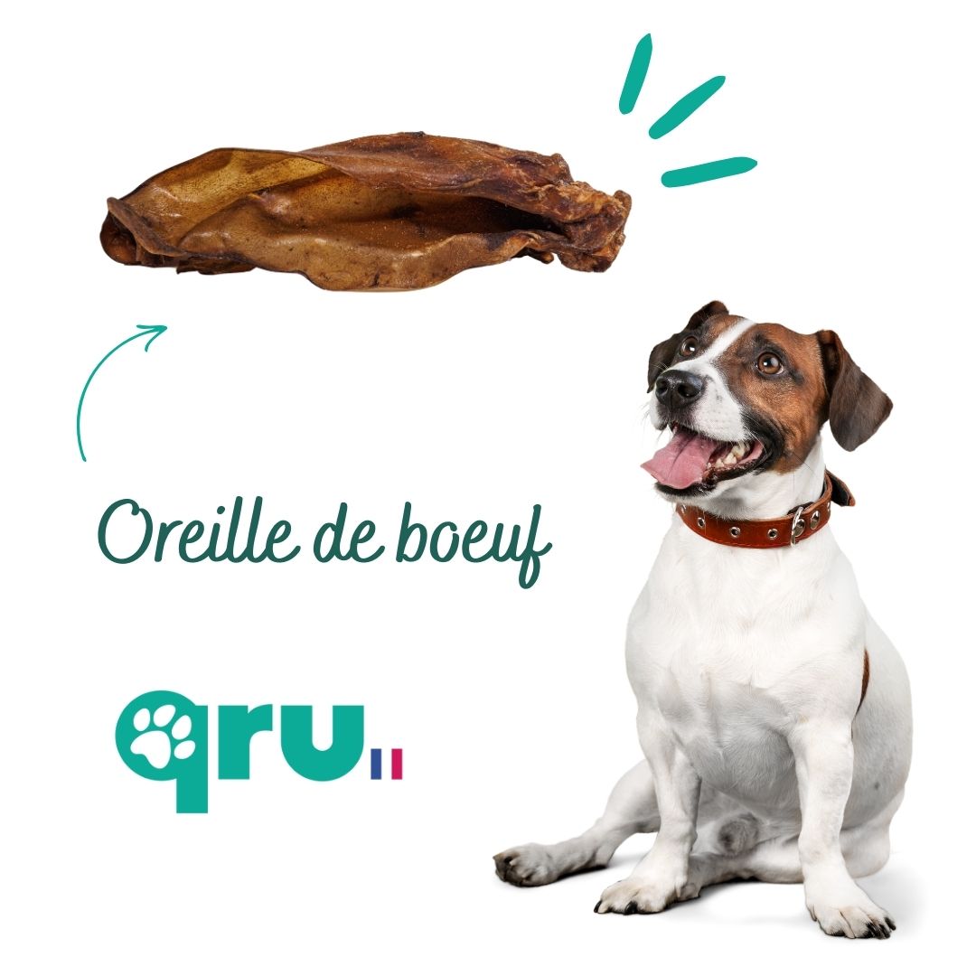 oreilles de bœuf pour chiens qru