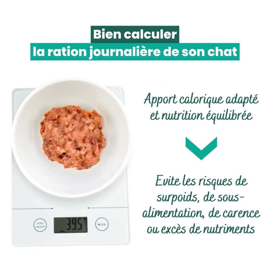 Schema explicatif de pourquoi bien calculer la ration journaliere chat