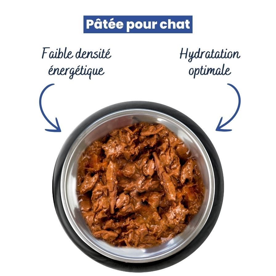 Patée pour chat : conseils pour bien choisir la ration journalière