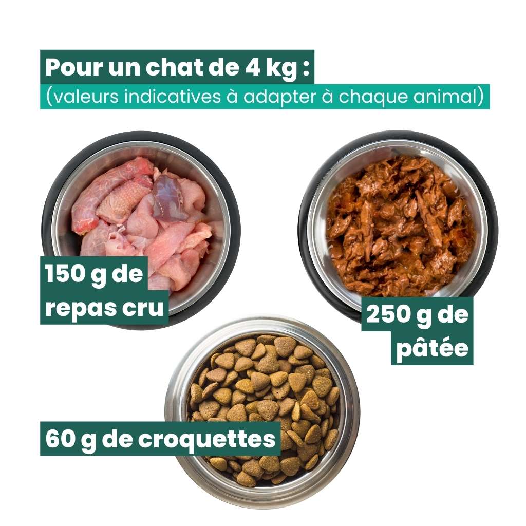 Valeurs indicatives pour la ration journalière d'un chat de 4 kg
