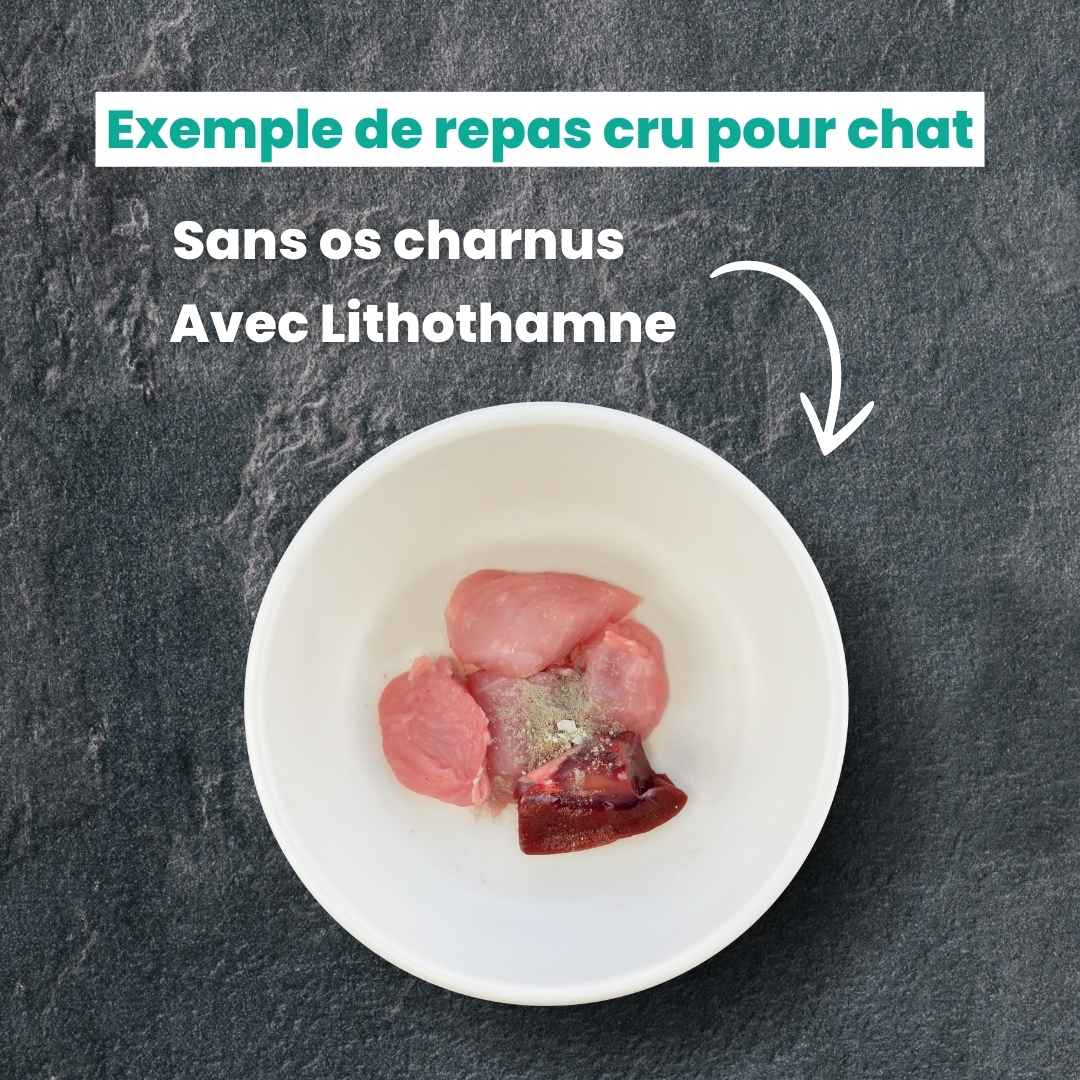 Exemple de gamelle de repas cru sans os charnus, avec lithothamne