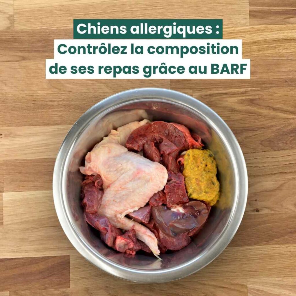 Gamelle de BARF, idéal pour les chien avec des allergies alimentaires