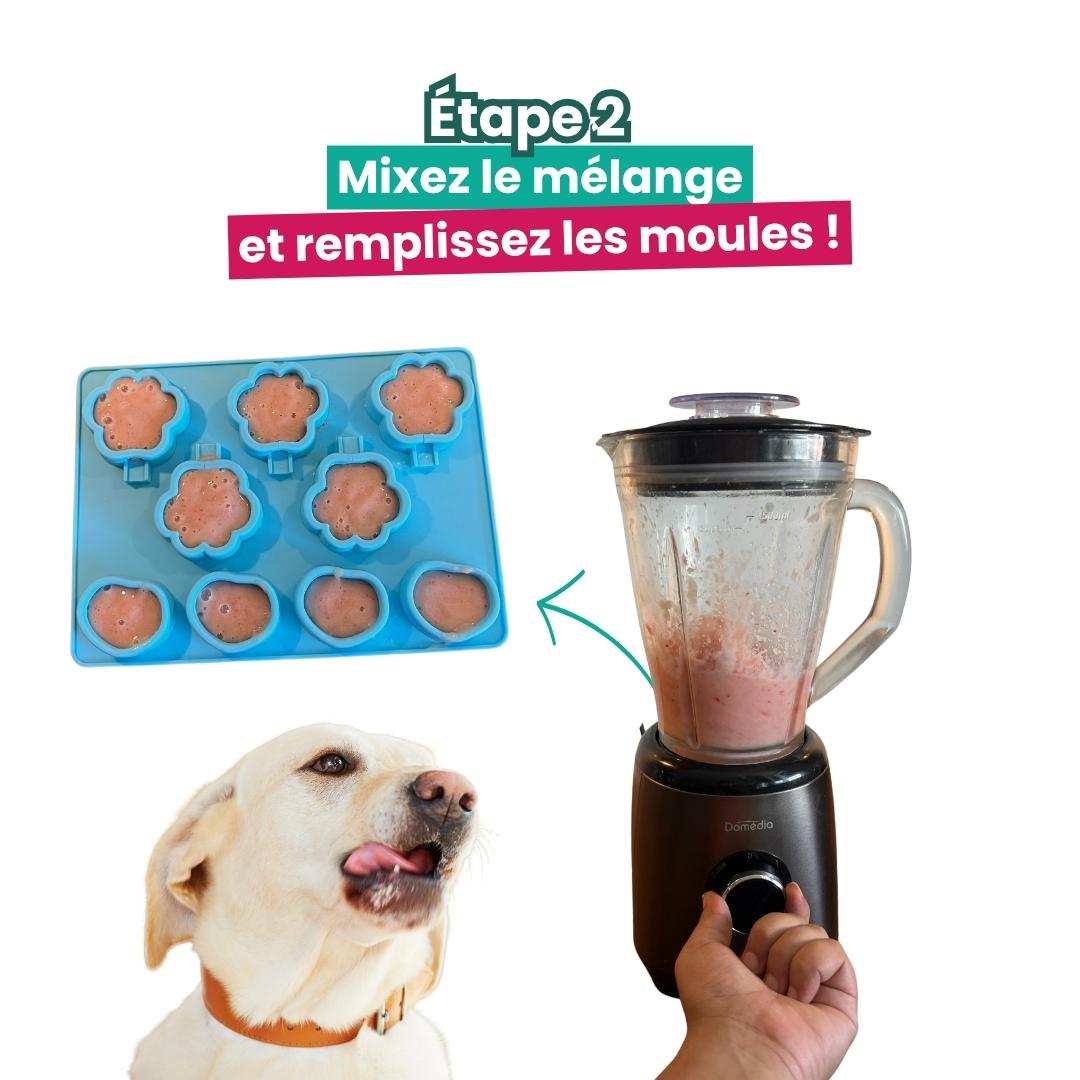 friandise rafraichissante pour chien étape 2 tuto friandise rafraichissante pour chien étape 2 tuto