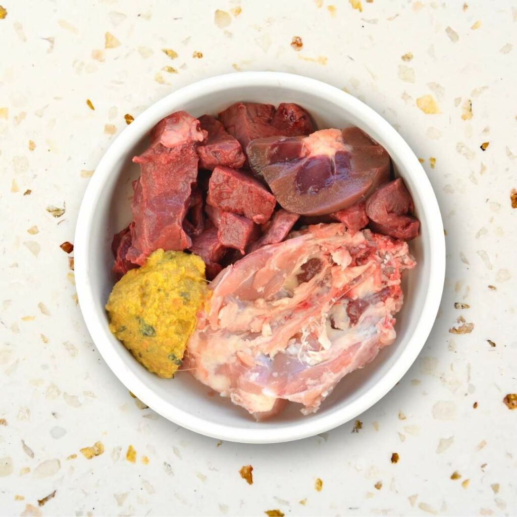 Gamelle de repas cru bénéfique pour le transit du chien