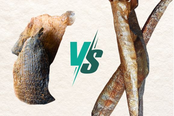 Deux peaux de poisson pour chien : carpe VS truite