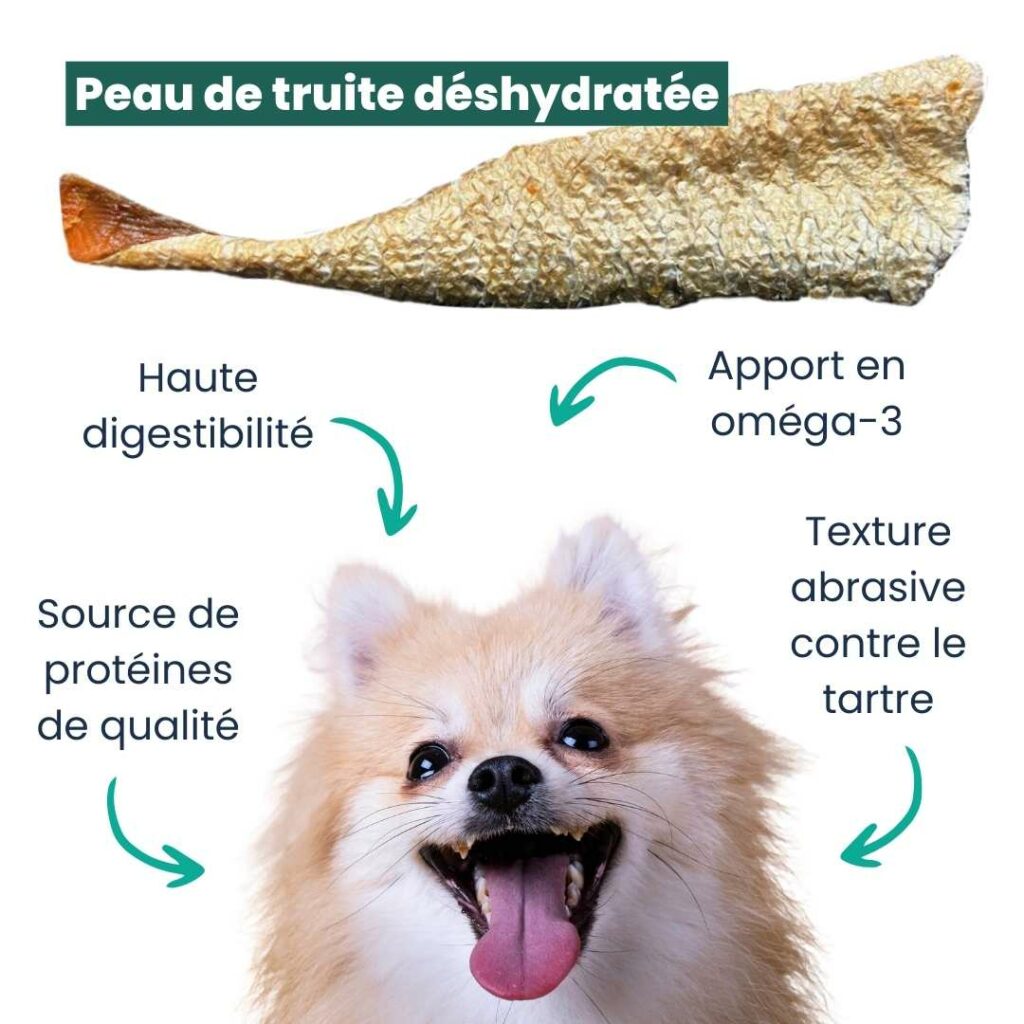 Schéma des nombreux bienfaits de la peau de truite pour le chien