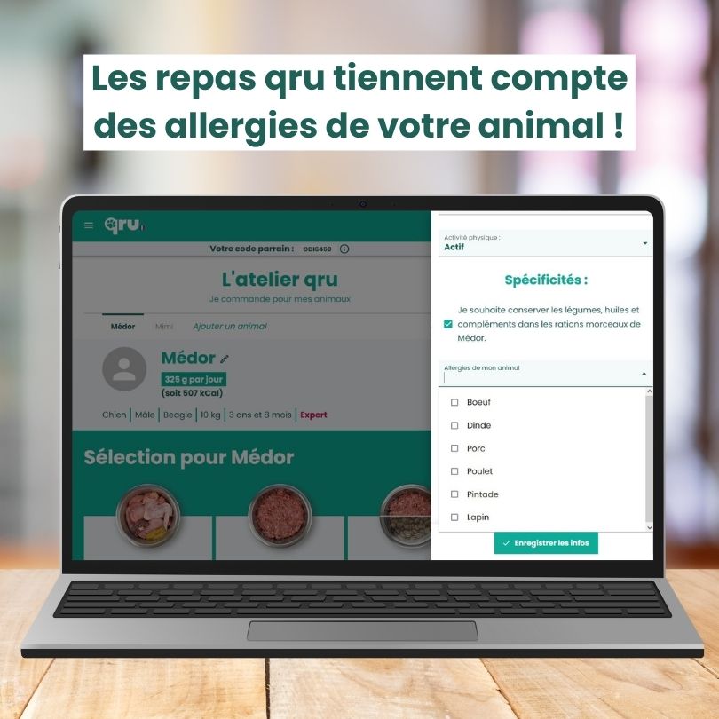 Ordinateur connecté à l'interface qru, permettant de paramétrer les allergies de son chien