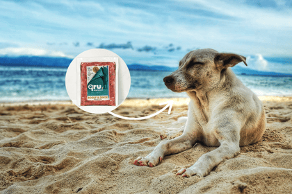 nourrir en vacances
