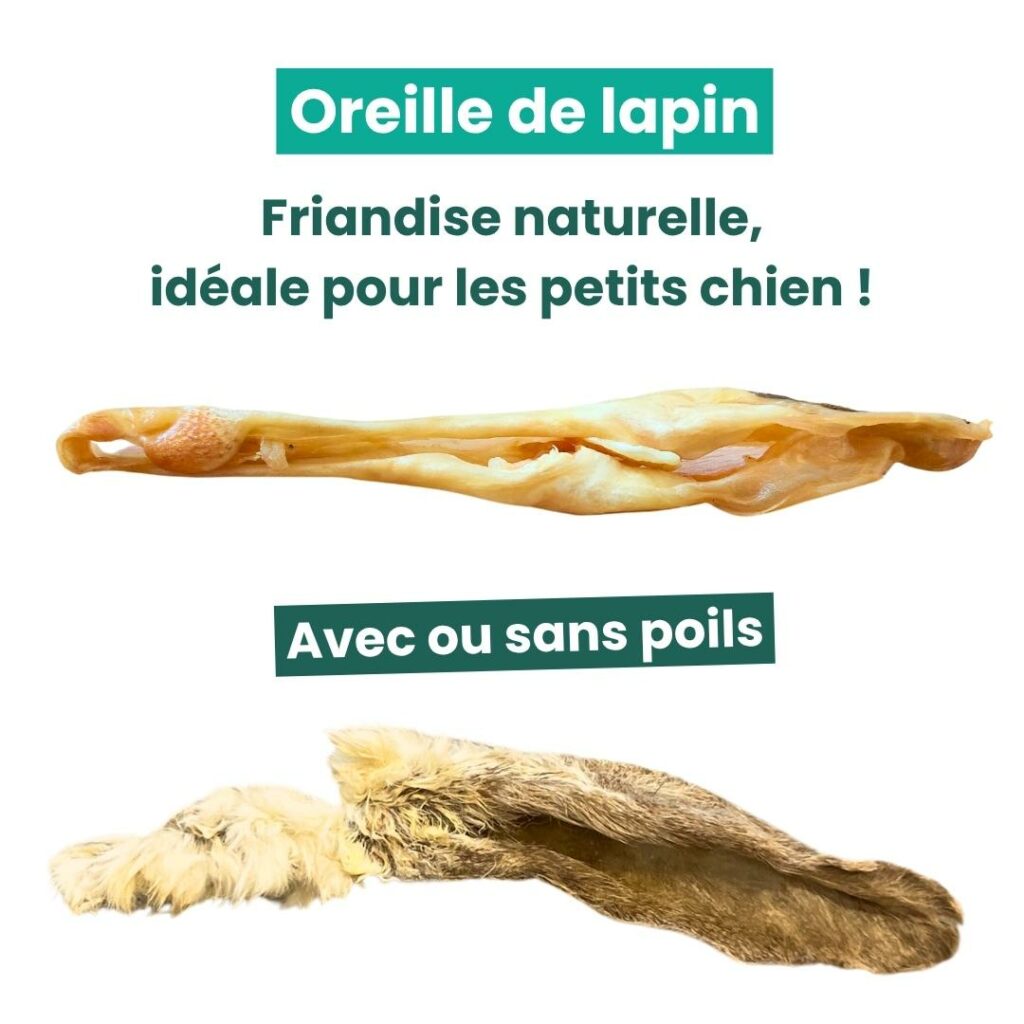 Oreille de lapin pour chien de la gamme qru
