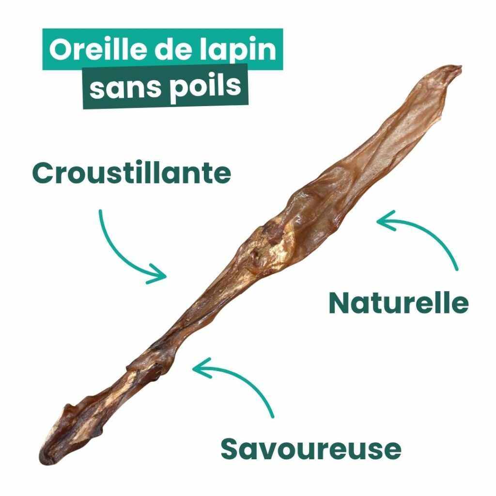 Oreille de lapin pour chien de la gamme qru
