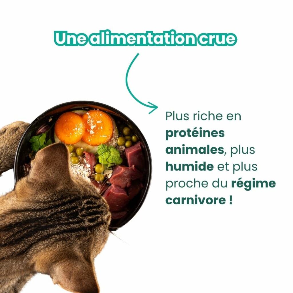 alimentation crue 