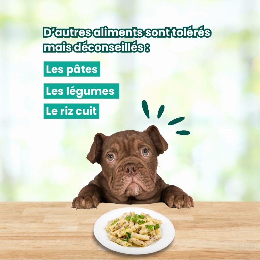 restes de table aliments tolérés