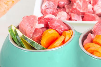 Légumes dans la gamelle d'un chien : est-ce bon pour eux ?