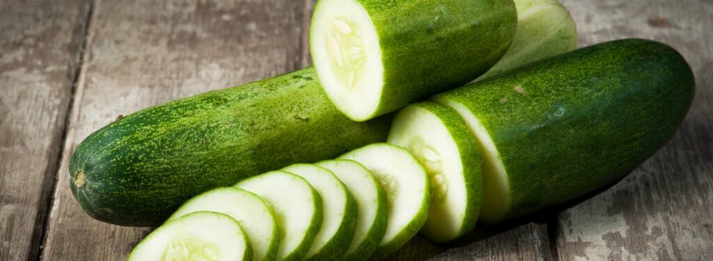 Quels légumes sont bons pour les chiens : concombre
