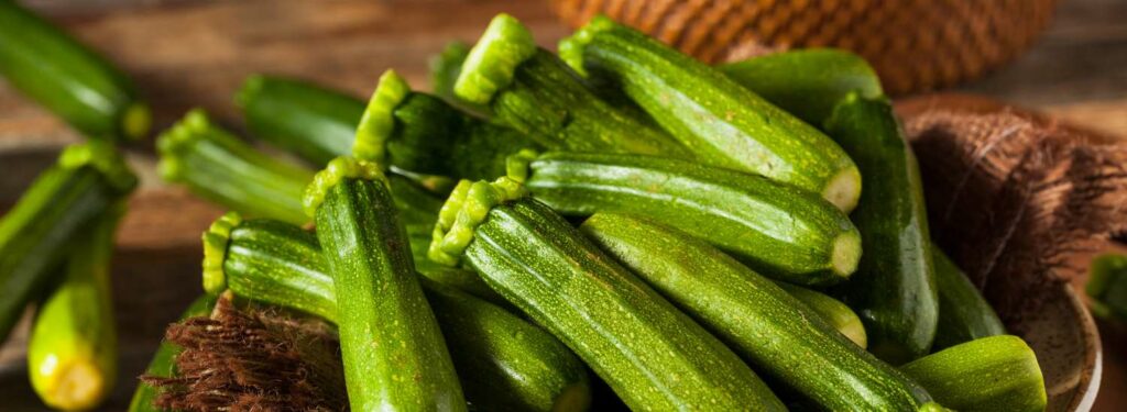 Quels légumes sont bons pour les chiens : courgette