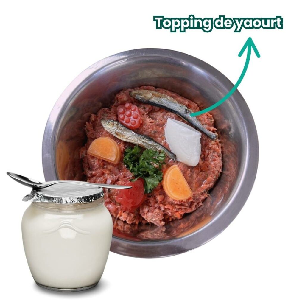 yaourt_pour_les_chiens_topping_gamelle_1 yaourt pour les chiens en topping