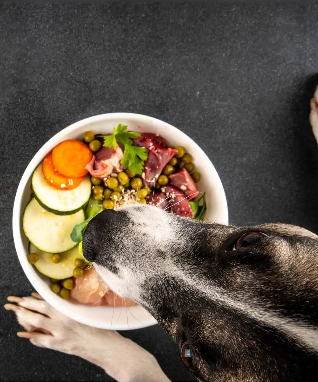 Repas équilibré pour chien avec viande crue et légumes frais dans un bol.