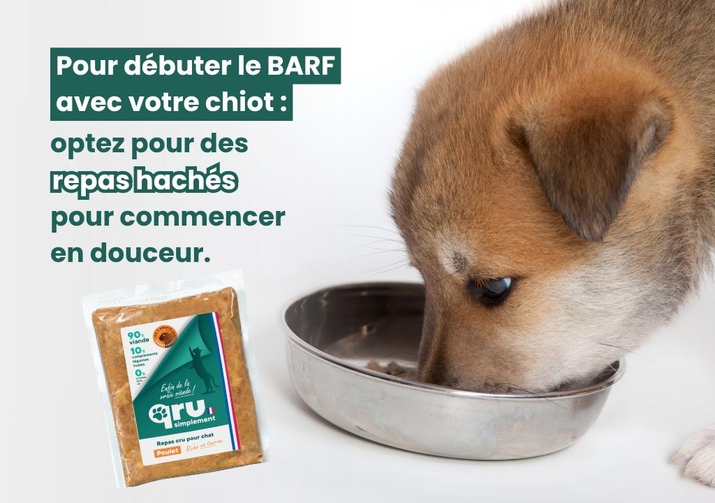 chiot en train de manger et mise en valeur d'un repas barf haché tout prêt de la marque qru