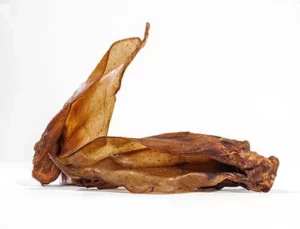 Friandises naturelles pour chien : oreilles de boeuf