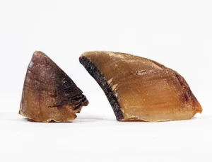 Friandises naturelles pour chien : sabot de boeuf