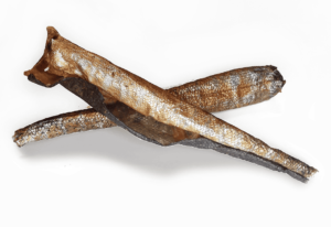 Peau de truite friandises pour chiens et chats