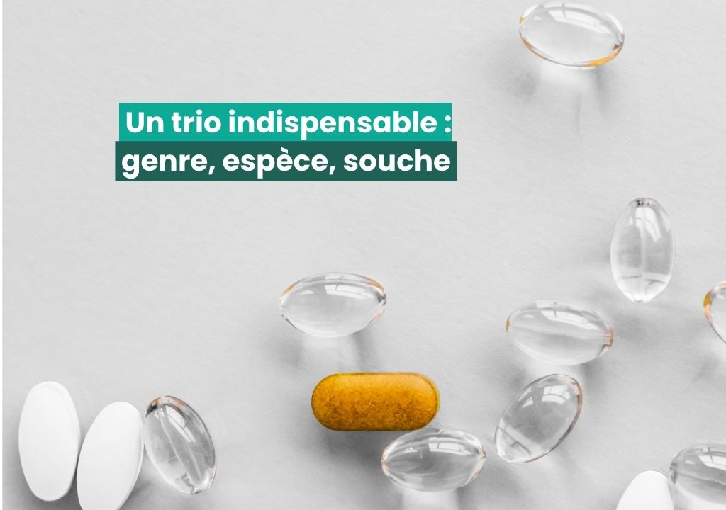 probiotiques pour chien