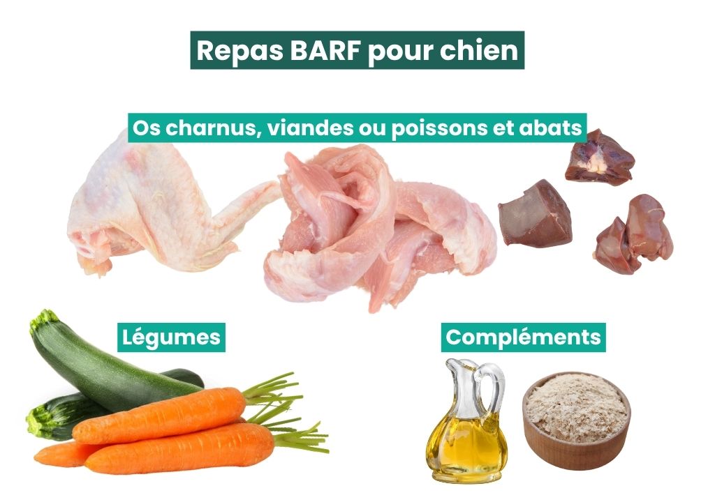 Composition d'un repas barf pour chien avec os charnus, viande, abats, légumes, et compléments.