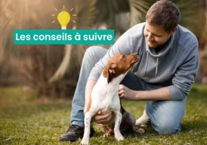 Homme caressant son chien dans un jardin avec le texte « Les conseils à suivre »