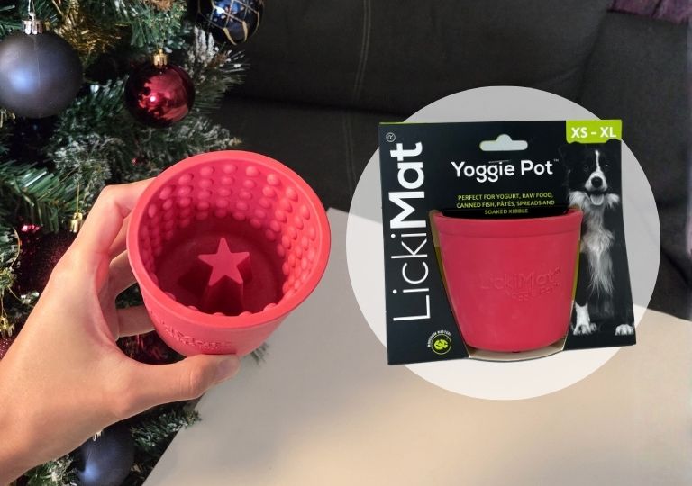 Le pot d'occupation lickimat peut être garni avec des repas hachés qru