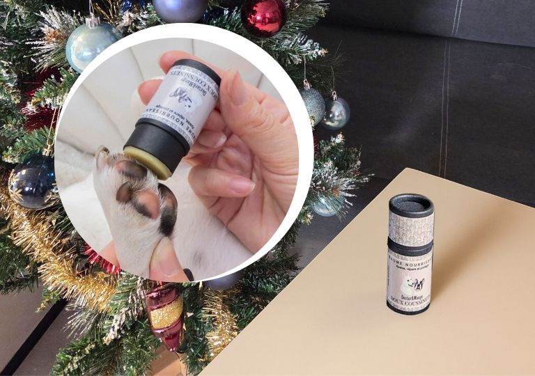 Le stick pour coussinet est un cadeau utile pour chien