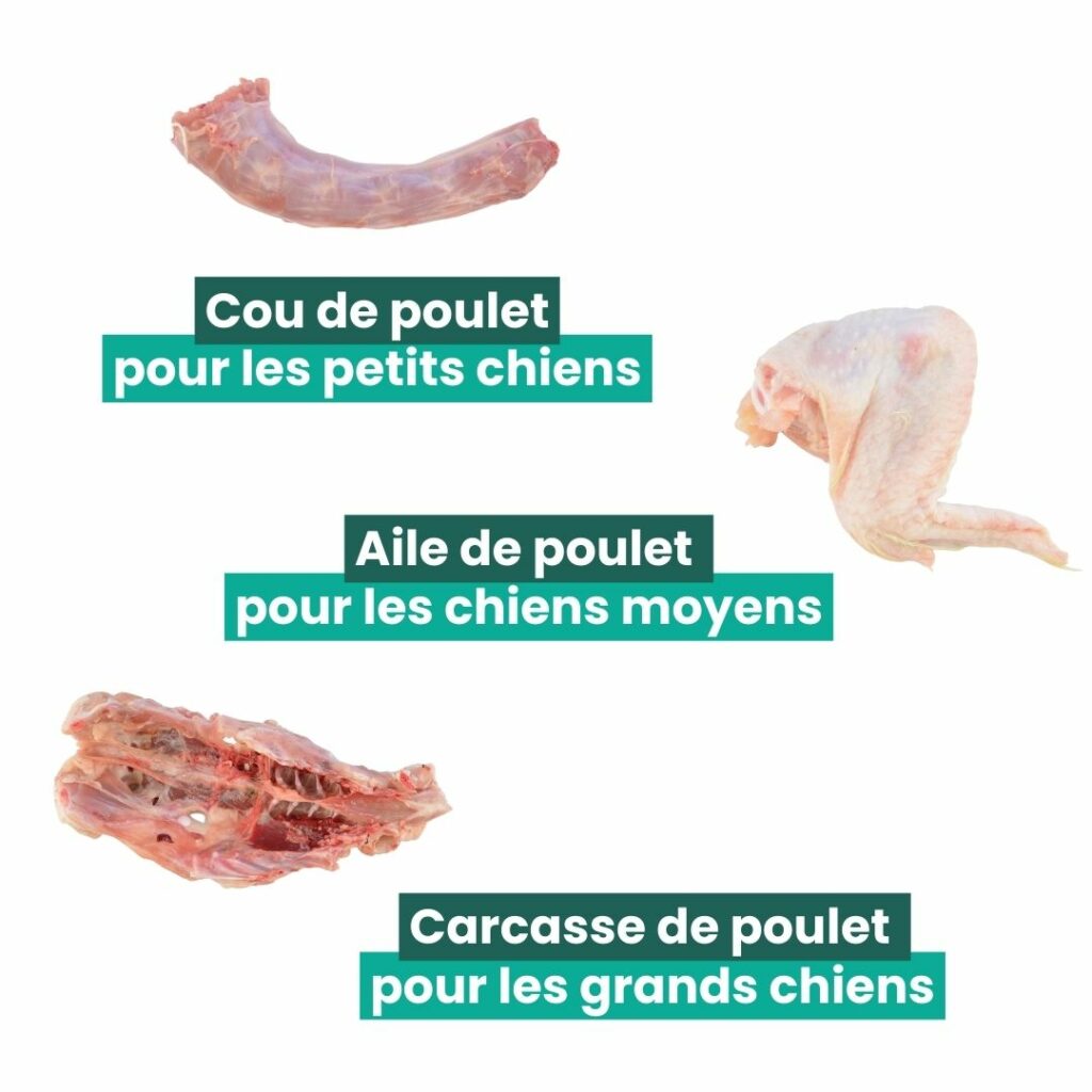 os de poulet pour chien