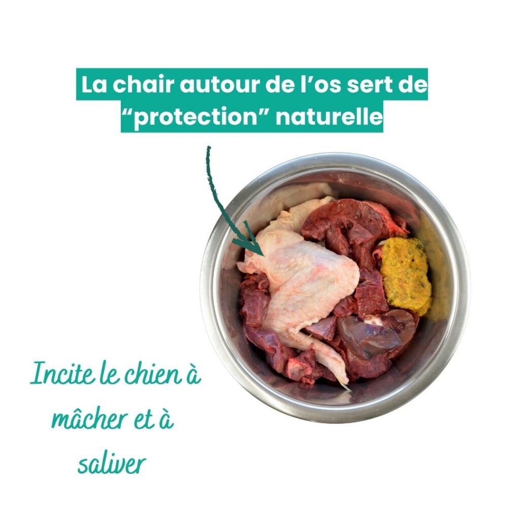 os de poulet pour chien os charnu os de poulet pour chien