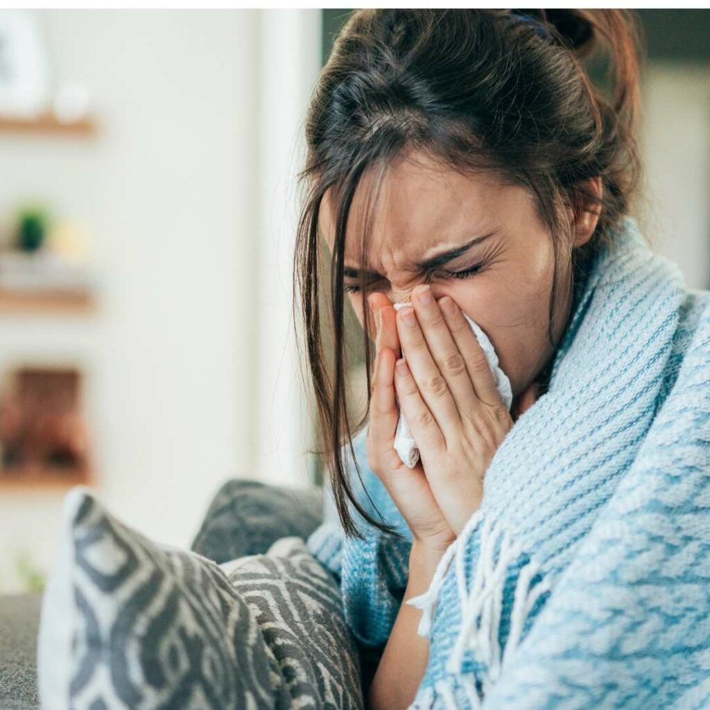 grippe chez le chien